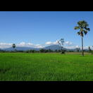 Hinter der Ebene des Ping liegen die Berge des Khlong Wang Chao National Parks